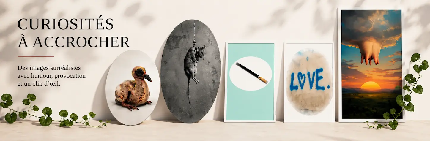 Le Provo – affiches mêlant humour, poésie et provocation visuelle